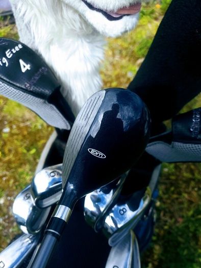 Set of Ladies Golf Clubs
