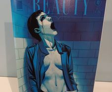 Graphic Novel : The Beauty: Number 10