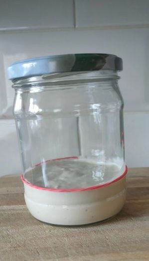 sourdough starter