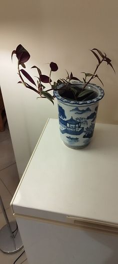vases