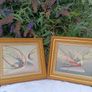 A Pair Of Beautiful Mixed Media on Canvas Image 2