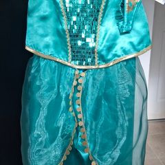 Princess Jasmine costume
