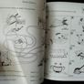 My first theory book Lina Ng, NEW Image 3
