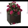 Rattan square pot Image 2