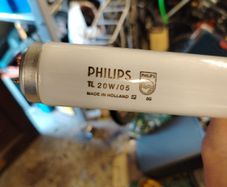 blacklight T12 tube