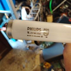 blacklight T12 tube