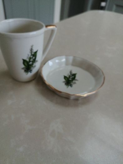 Fine Irish porcelain cup and saucer Hillgrove Caherciveen