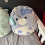 Squish mellow teddies Image 5