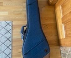 Ortega Banjo Case