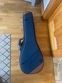 Ortega Banjo Case