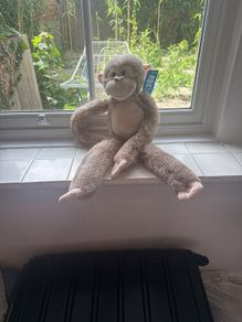 Monkey plush toy (new with tag)
