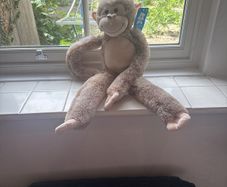 Monkey plush toy (new with tag)