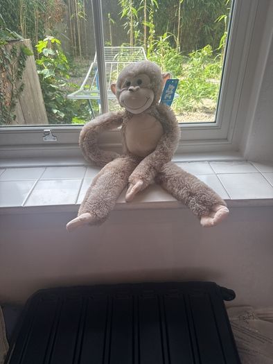 Monkey plush toy (new with tag)