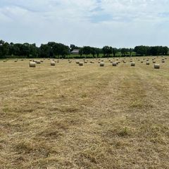 Hay