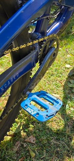 MTB 2021 YT Capra 29inch L-size