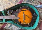 Joe Foley F style mandolin L/H
