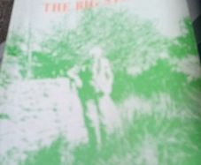 The Big Stone A Biography By Jj  Jennings  Telling A Story Of Living Thru The Black Nd Tan Era