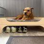 dog bed Image 3