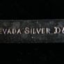 Nevada Silver D & A (Daniel & Arter, Birmingham) Image 4