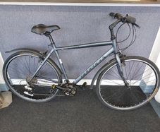 Ridgeback Velocity