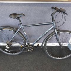 Ridgeback Velocity