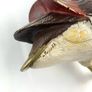 Vintage Malevolti duck figurines Image 8