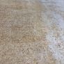 Rug Image 3