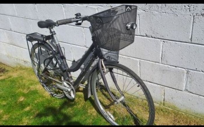 Ridgeback Rapid Motion Hybrid Large frame Ladies Bike
