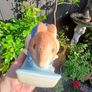 Peter Rabbit Rocking Money Box Image 3