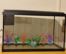 Interpet AquaPod 56L Aquarium, CF1 Filter & Extras