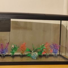 Interpet AquaPod 56L Aquarium, CF1 Filter & Extras