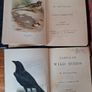Familiar Wild Birds by, W Swaysland 1903 Image 3