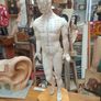 Vintage Anatomical Male Mannequin Image 2