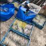 River lake sea fishing Image 10