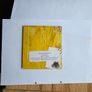 Yeah Yeah Yeahs - Gold Lion Image 2