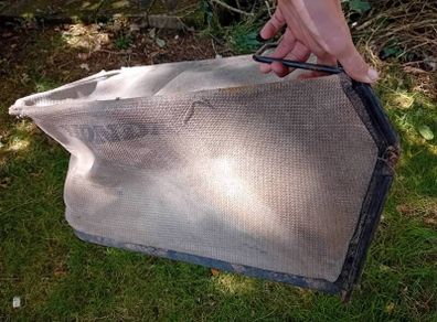 Honda izzy grass box