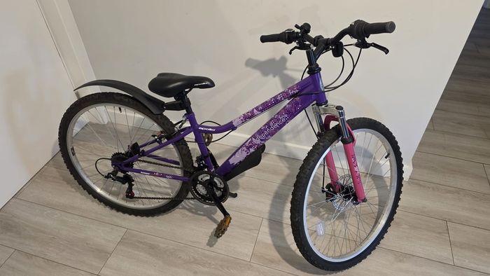 Apollo Independence Mountain Bike