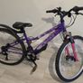Apollo Independence Mountain Bike Image 3
