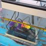 17L Aquarium including filter, heater and 3 decorations Image 4