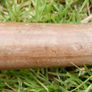 Vintage HORSE HEAD Walking Stick Brass Handle Image 3