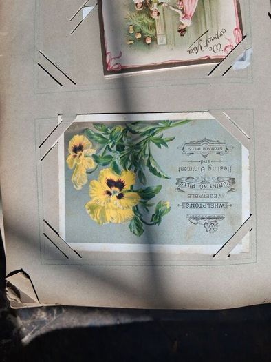 Mega Art Nouveau Postcard Album (197 Pieces)