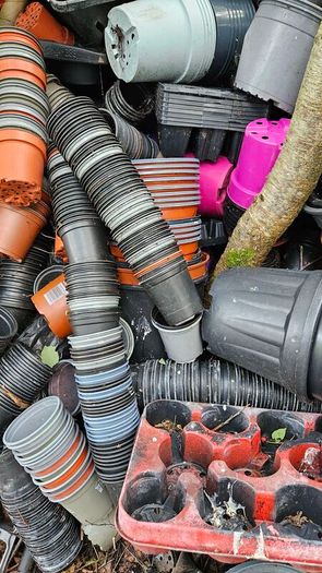 Free Plant Pots