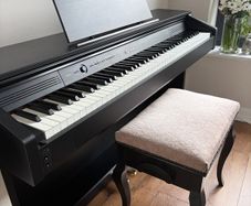Celviano AP 260