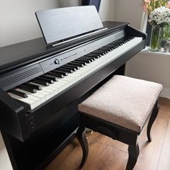 Celviano AP 260