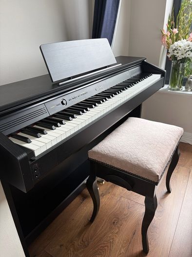 Celviano AP 260