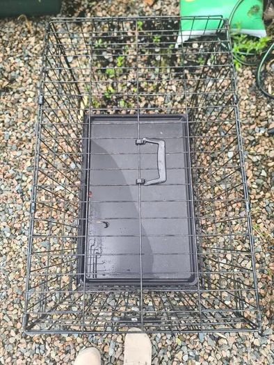 dog crate