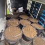 30 Buckets of good soil Image 3