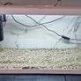 58L Fishtank with Everything Image 3