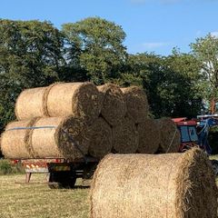 June Hay Kilcock (30 bales available)
