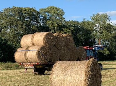 June Hay Kilcock (30 bales available)